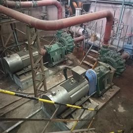 100ZBG-500礦尾(wěi)濃漿泵