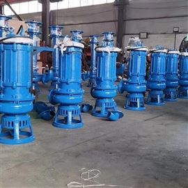 TQZ100洗煤廠用(yong)立式渣漿(jiāng)泵